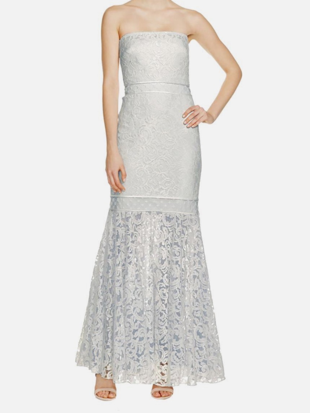 Tadashi Shoji Lace Overlay Strapless Gown with a Mermaid Bottom